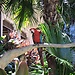 Grand Hyatt Kauai Resort and Spa