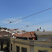 A weekend in Lisbon