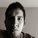 Harold Armando