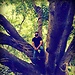 anubhav