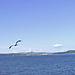 Berkay_zzantur