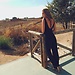 Ana Ignacio