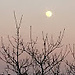 Kaban tofik  