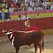 Fiestas de Valdetorres del Jarama