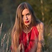 Sylwia