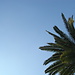 Cielo en Murcia
