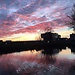 Aalborg University