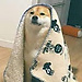 Mar