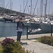 Talha
