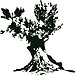 Ma