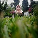 Kawtar