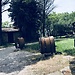 Agriturismo "Il Rosciolo"