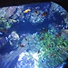 Sea Life Aquarium