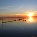 Albufera