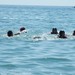 Ambivalences about Greece