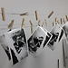 Analog Workshop (Film).