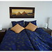 Apartments for rent in the city center