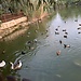 Athalassa park, Nicosia