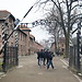 Auschwitz