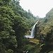 Azores: cuatro cascadas que debes visitar en San Miguel