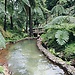 Azores: qué termas visitas en San Miguel
