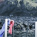 Azores: qué termas visitas en San Miguel