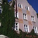 Untitled photo