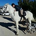 Yasmin