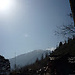Shobhan