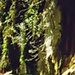 kadiryilmaz905