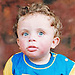 Tareq