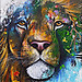 S Aslan