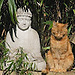 Siddhartha Das