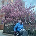 23 year old girl, wheelchair user, looking for a flat near Polimi