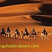 Visit-ergchebbi-