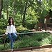 Burcu