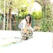 Nupur