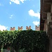 Balcone della casa di Giulietta