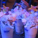 Bar Capogiro y sus bebidas sorprendentes