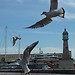 Barcelone du côté de la mer