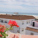 Universidad de Cádiz, Campus de Puerto Real