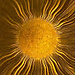 Itauana