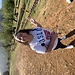 Celia Ramos