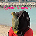 Syeda