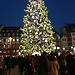 Beatiful Christmas tree