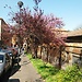 Beautiful Bologna in Spring_01