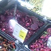 Beets in Tkemali sauce