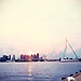 Best things to do in Rotterdam in a day
