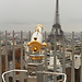 Best view in Paris