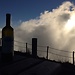 Best wines of Campania region